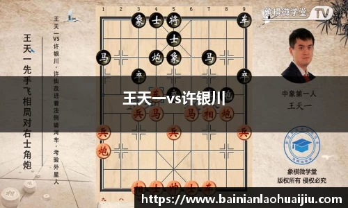 王天一vs许银川